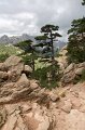 0163 Col de Bavella